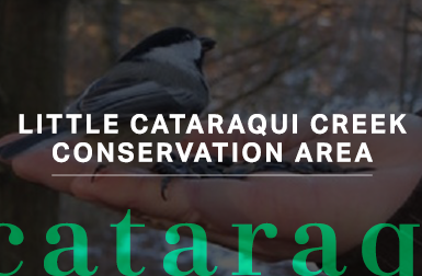 Little Cataraqui Creek Conservation Area