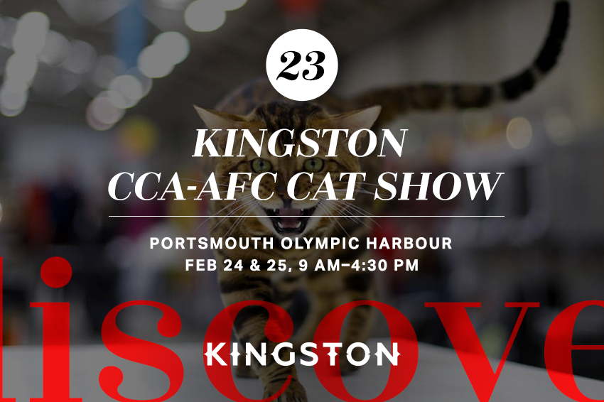 23. Kingston CCA-AFC Cat Show