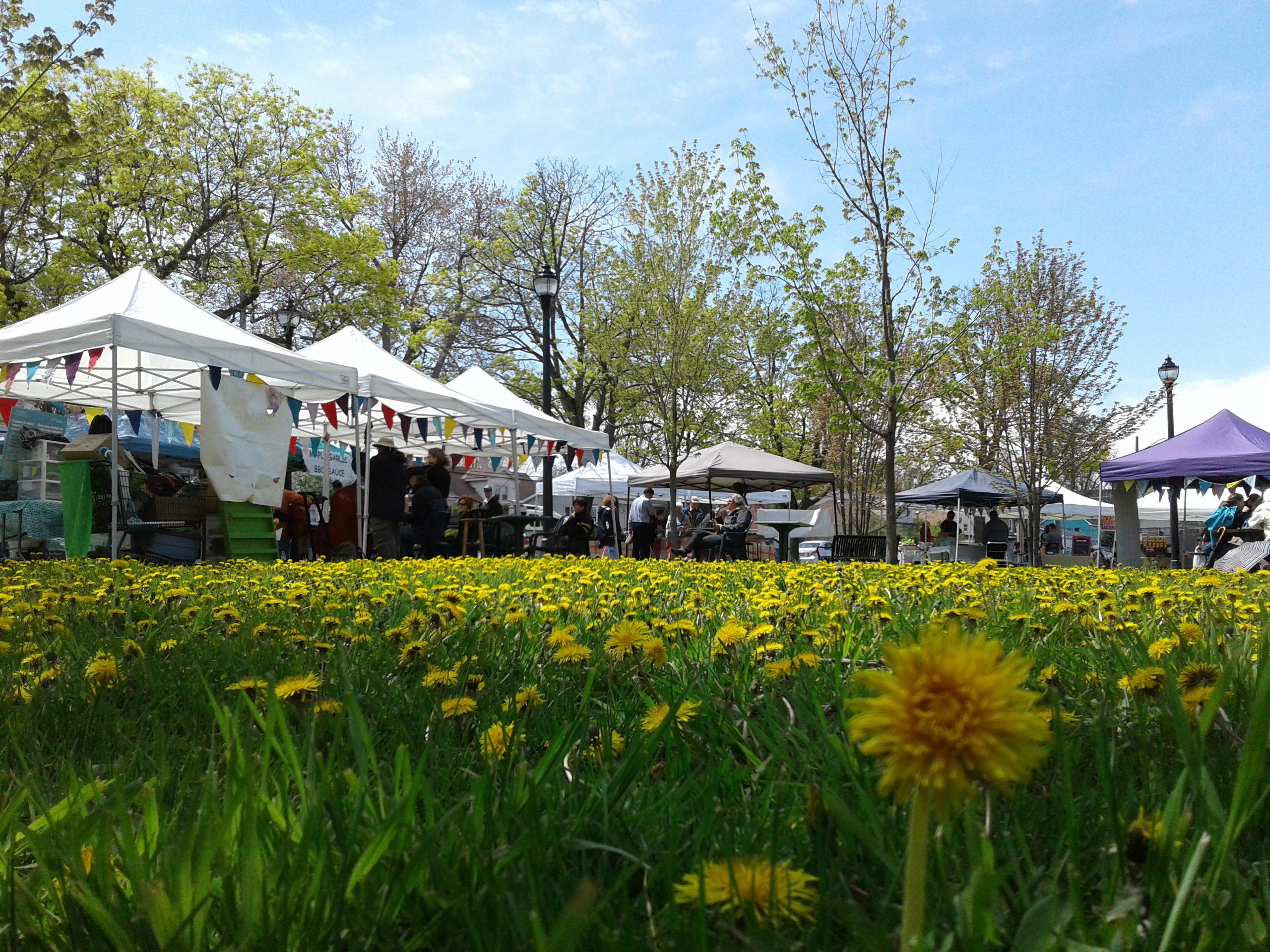 Memorial Centre Farmers Market