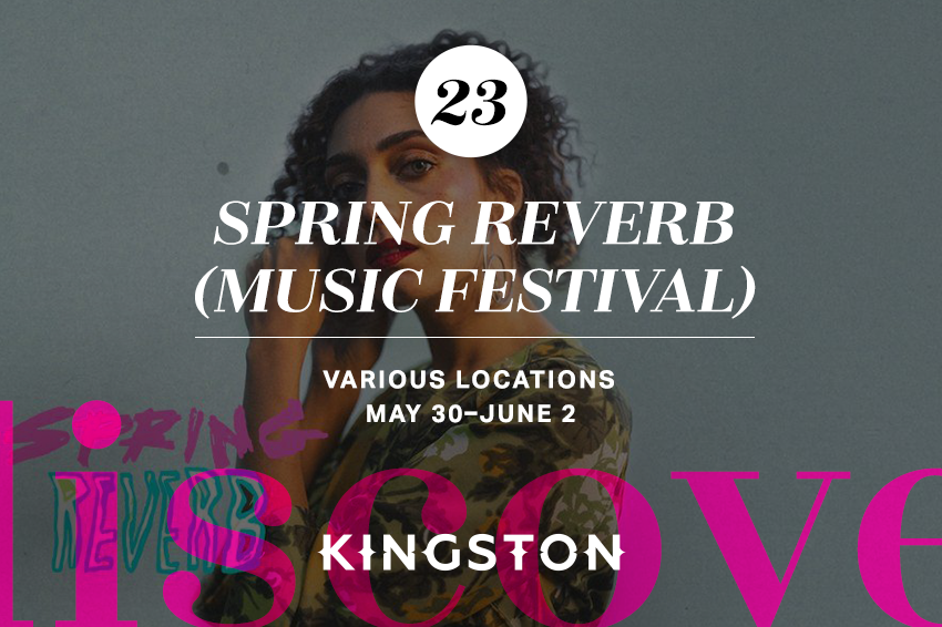 23. Spring Reverb (music festival)