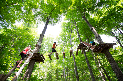 Treetop Trekking 1000 Islands 