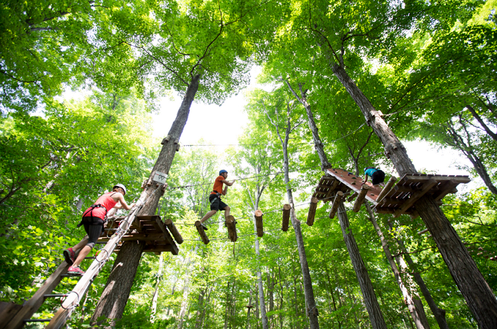 Team Experiences – Visit Kingston