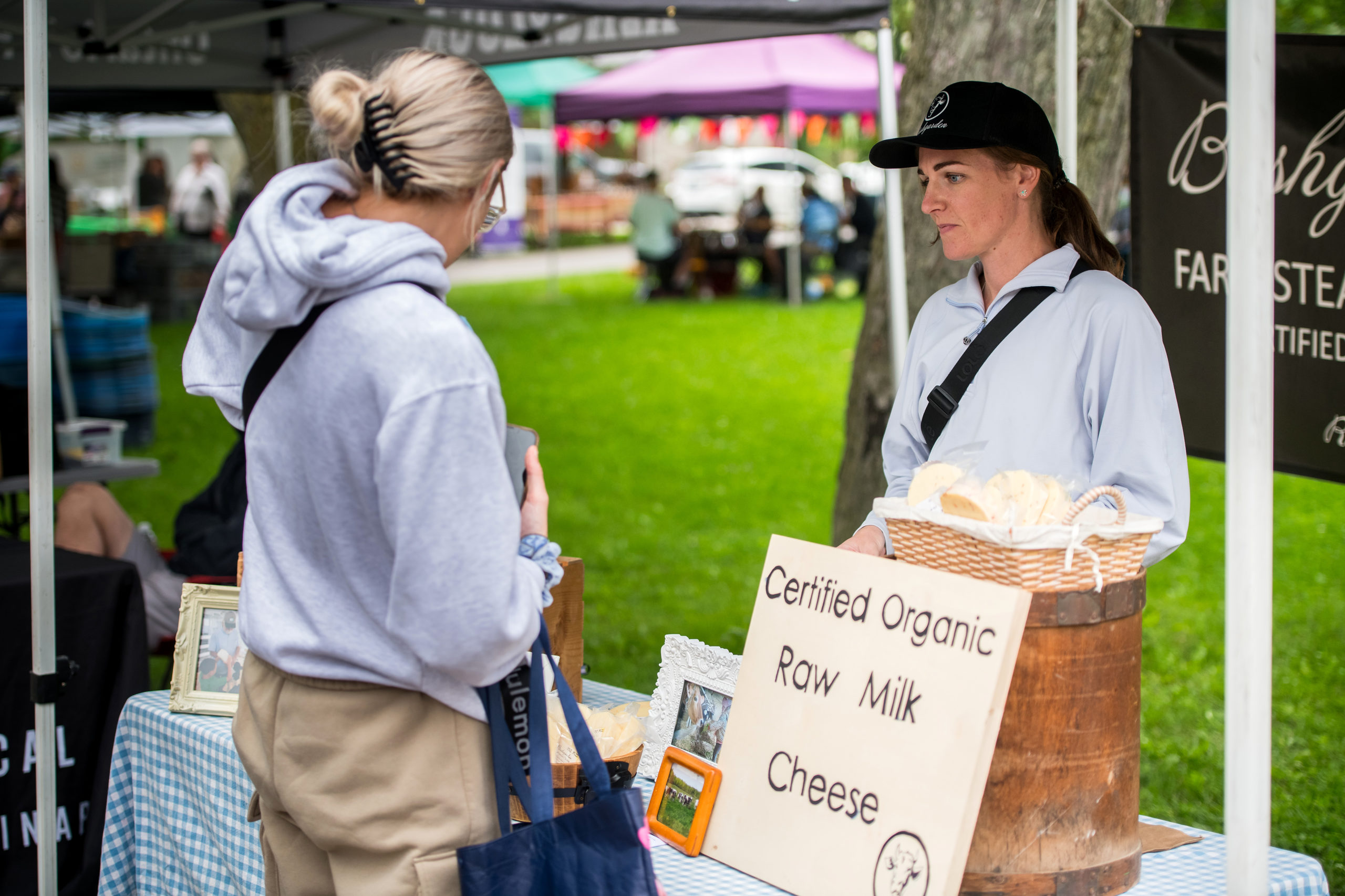 Bushgarden Farmstead Cheese at the Memorial Centre Farmers' Market