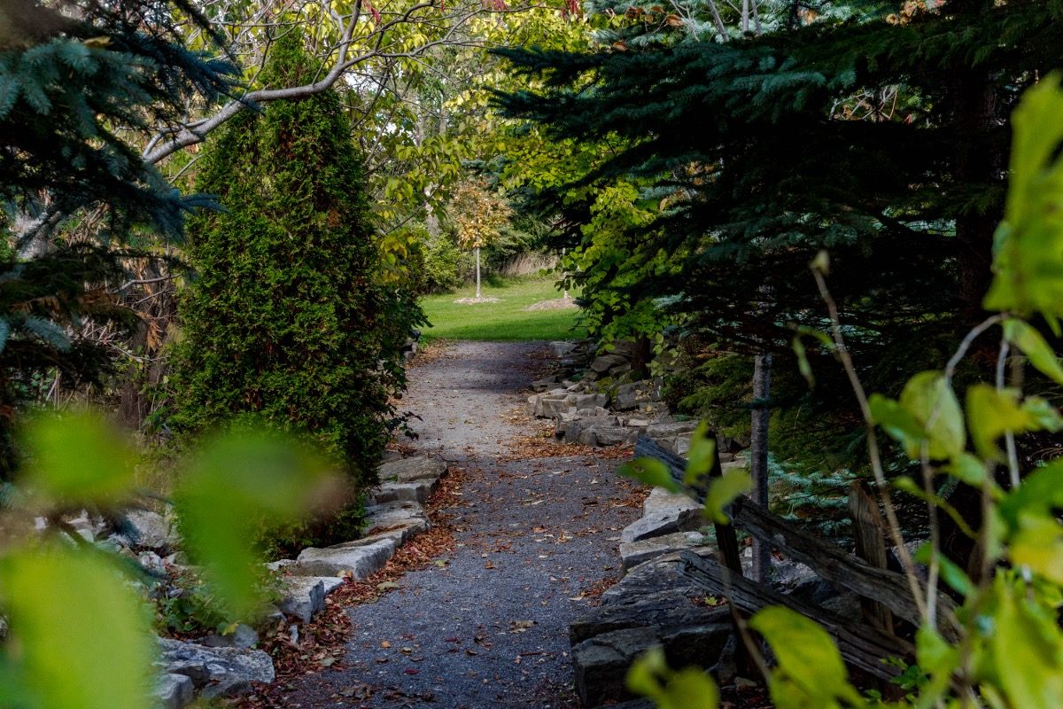 The view of a path through the Barriefield Rock Garden / Credit: Kingston Film Office