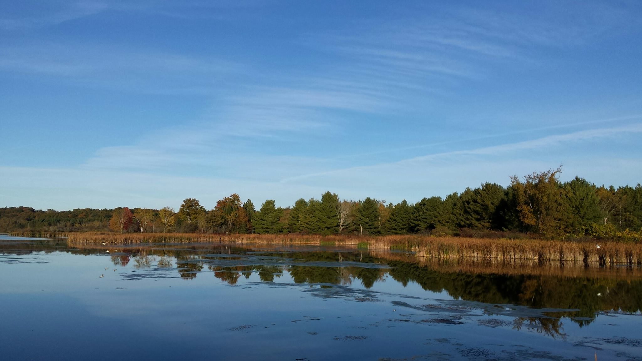 Little Cataraqui Creek