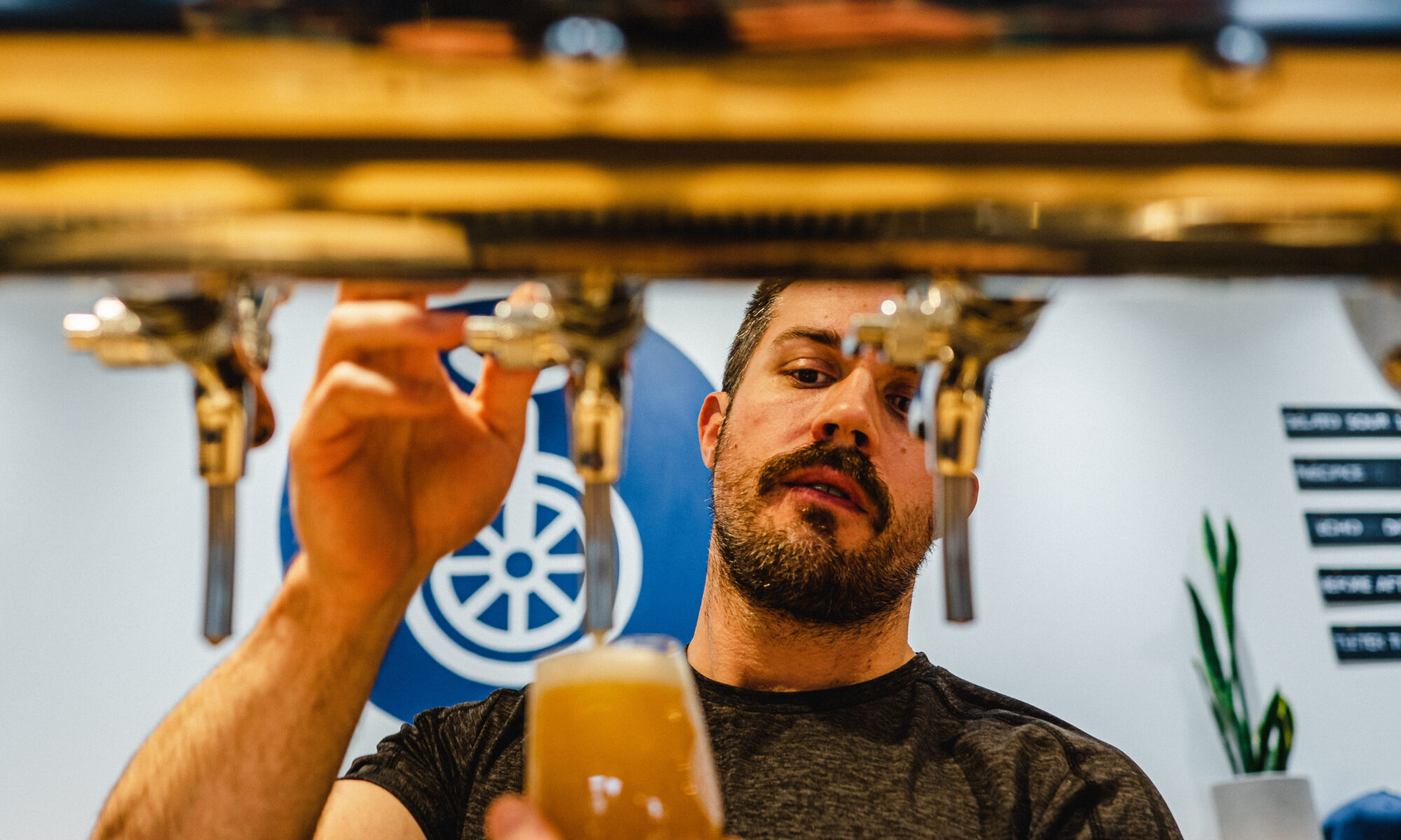 Fine Balance Brewing Company