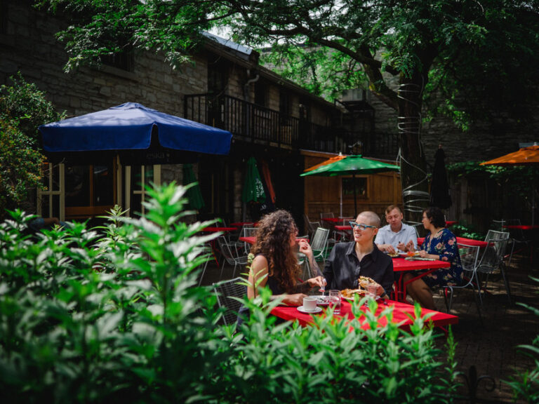 Chez piggy patio